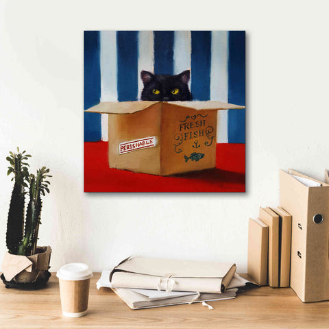 Image of 'Cat Burglar' by Lucia Heffernan, Canvas Wall Art,18x18