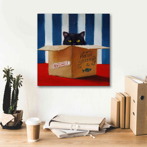 'Cat Burglar' by Lucia Heffernan, Canvas Wall Art,18x18