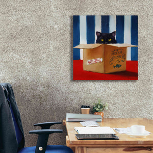 'Cat Burglar' by Lucia Heffernan, Canvas Wall Art,26x26