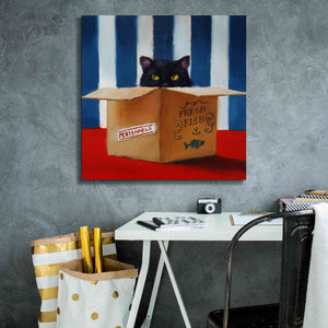 'Cat Burglar' by Lucia Heffernan, Canvas Wall Art,26x26