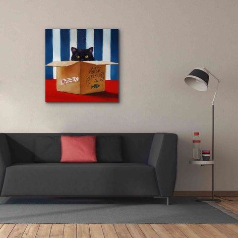 Image of 'Cat Burglar' by Lucia Heffernan, Canvas Wall Art,37x37