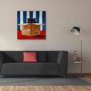 'Cat Burglar' by Lucia Heffernan, Canvas Wall Art,37x37