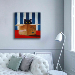 'Cat Burglar' by Lucia Heffernan, Canvas Wall Art,37x37