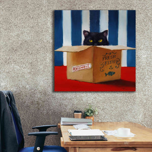 'Cat Burglar' by Lucia Heffernan, Canvas Wall Art,37x37