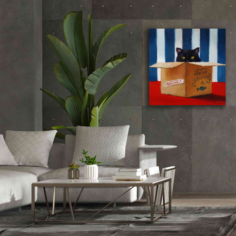 Image of 'Cat Burglar' by Lucia Heffernan, Canvas Wall Art,37x37