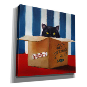 'Cat Burglar' by Lucia Heffernan, Canvas Wall Art