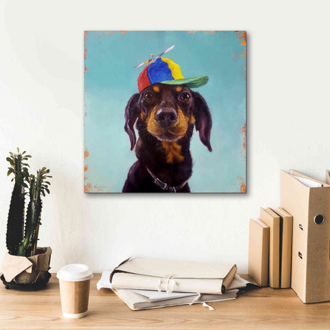 Image of 'Marcelo' by Lucia Heffernan, Canvas Wall Art,18x18