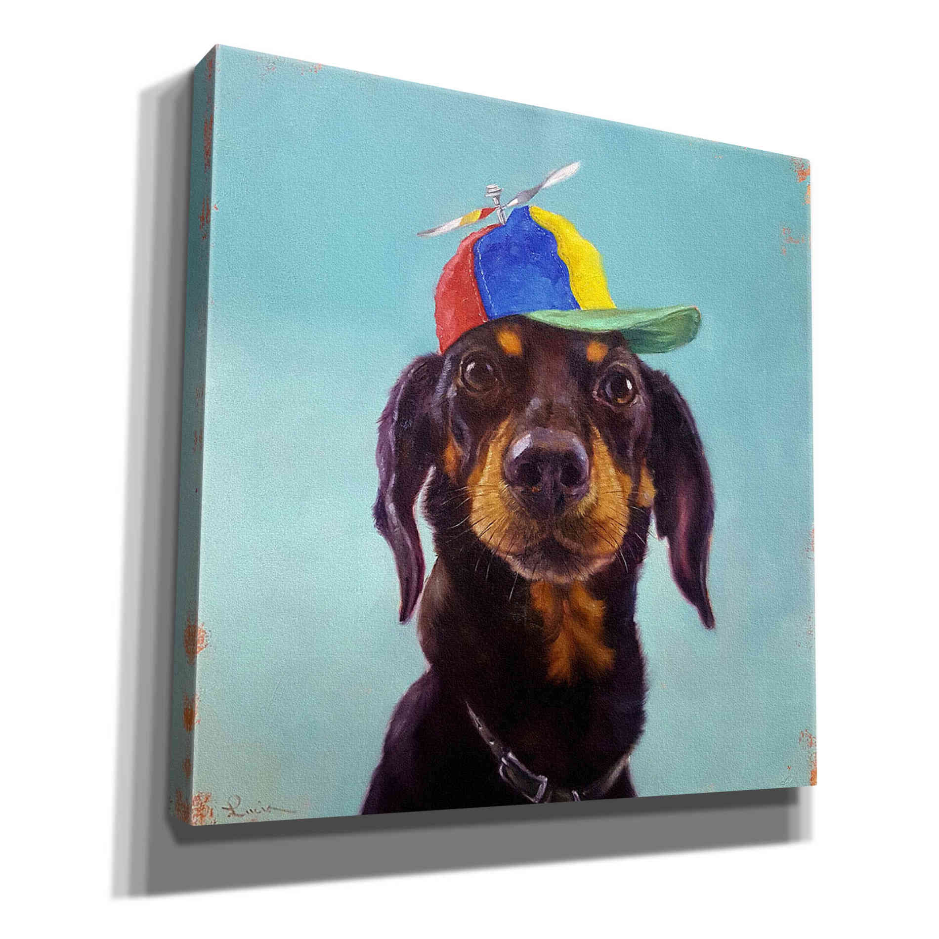 'Marcelo' by Lucia Heffernan, Canvas Wall Art