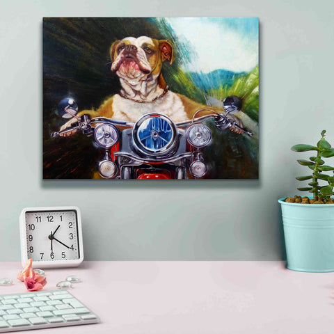 Image of 'Born To Be Wild' by Lucia Heffernan, Canvas Wall Art,16x12