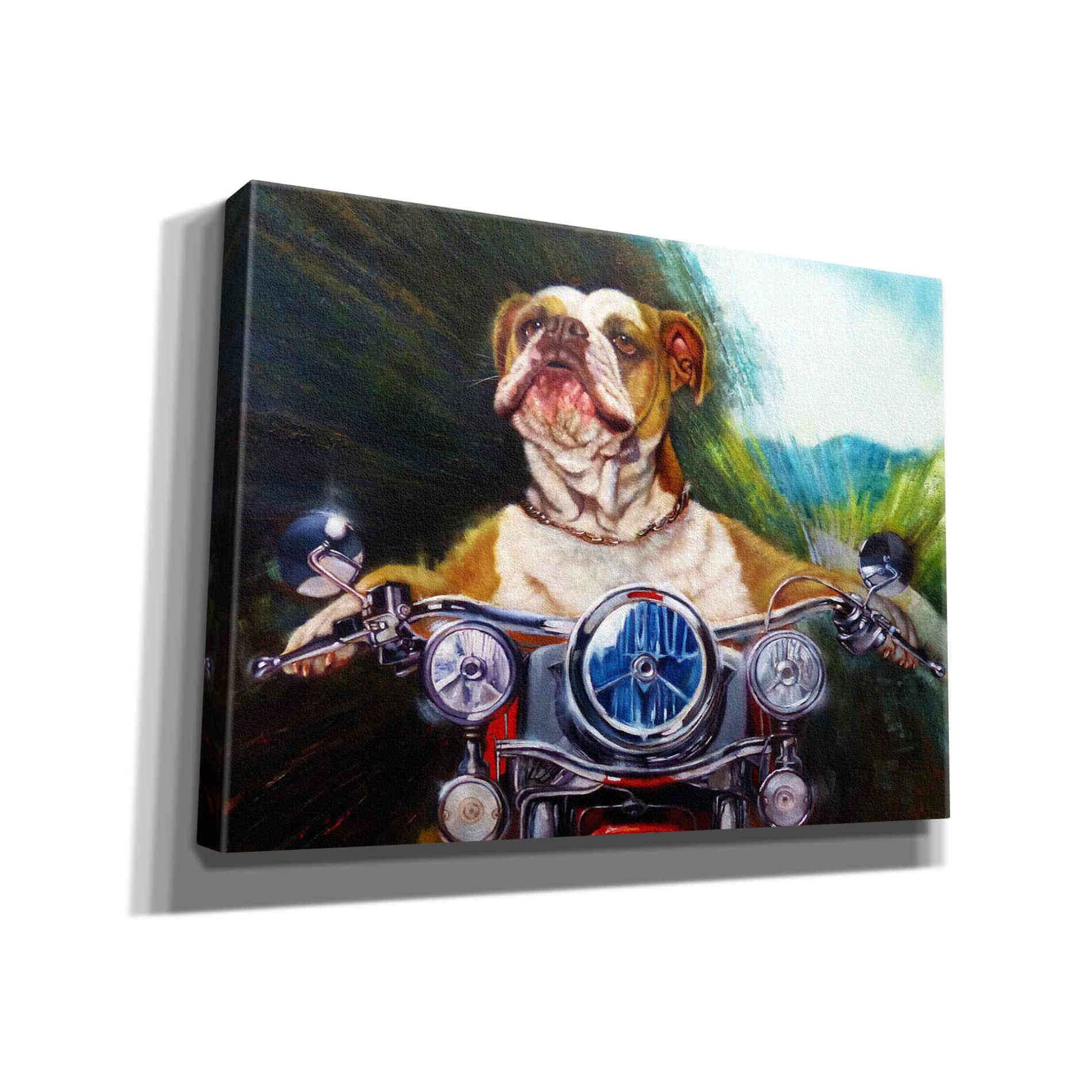 'Born To Be Wild' by Lucia Heffernan, Canvas Wall Art