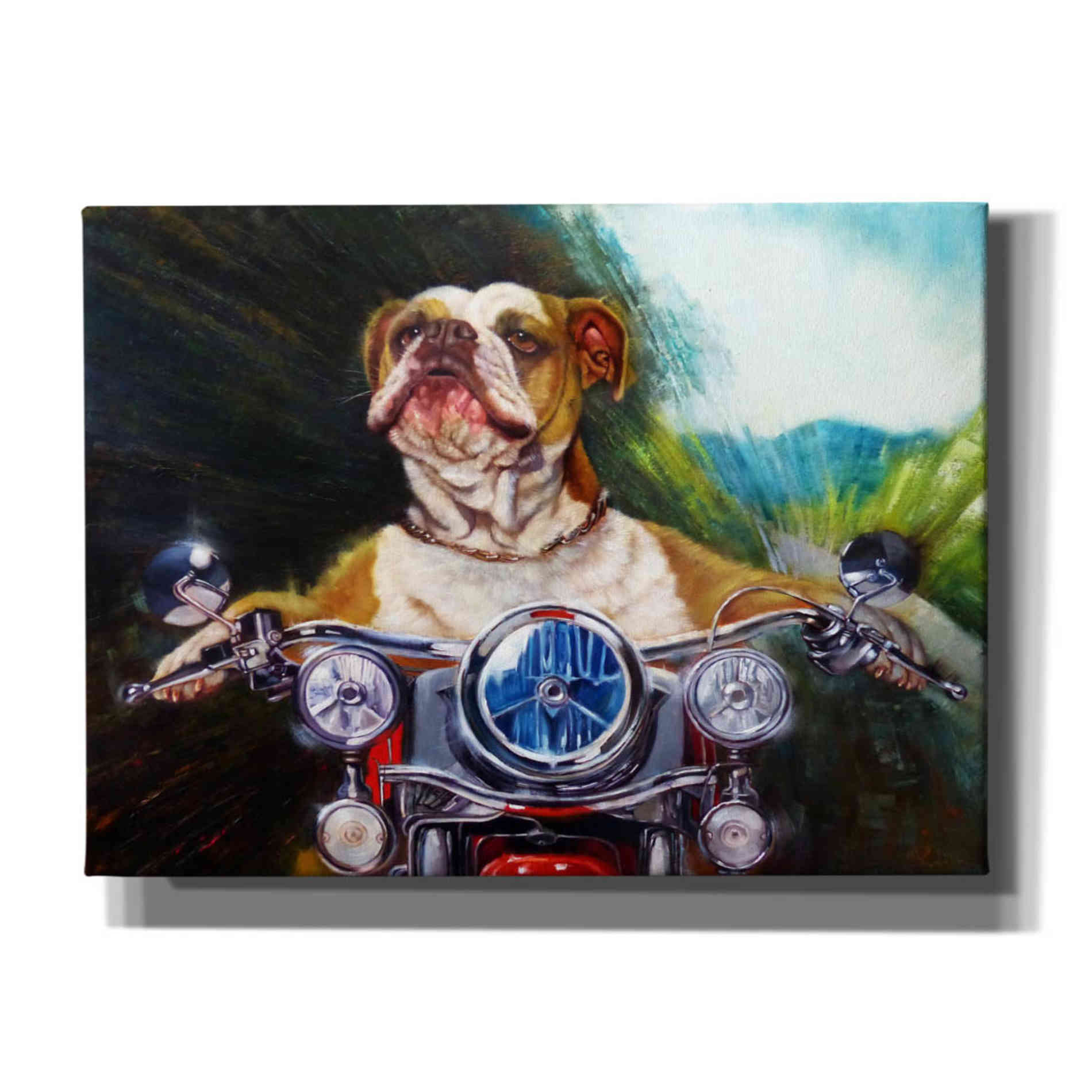 'Born To Be Wild' by Lucia Heffernan, Canvas Wall Art