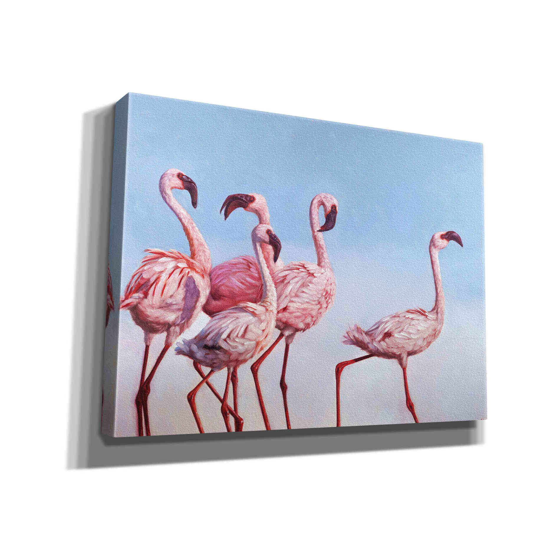 'Pink Ladies' by Lucia Heffernan, Canvas Wall Art