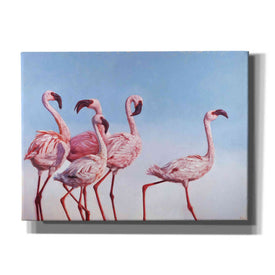 'Pink Ladies' by Lucia Heffernan, Canvas Wall Art