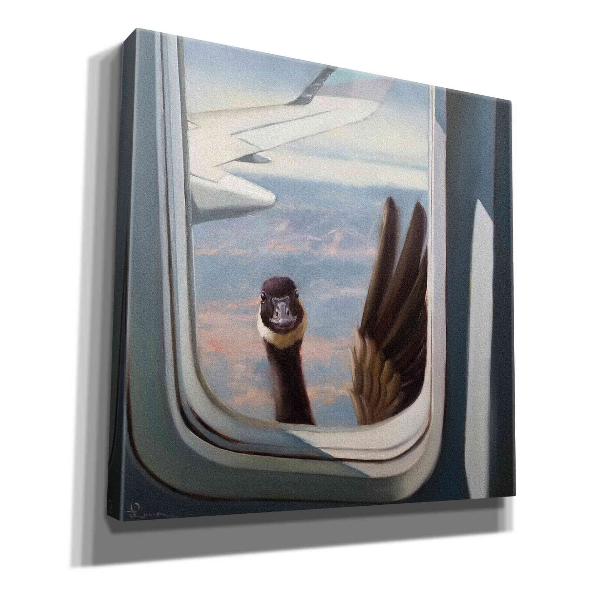 'Friendly Skies' by Lucia Heffernan, Canvas Wall Art