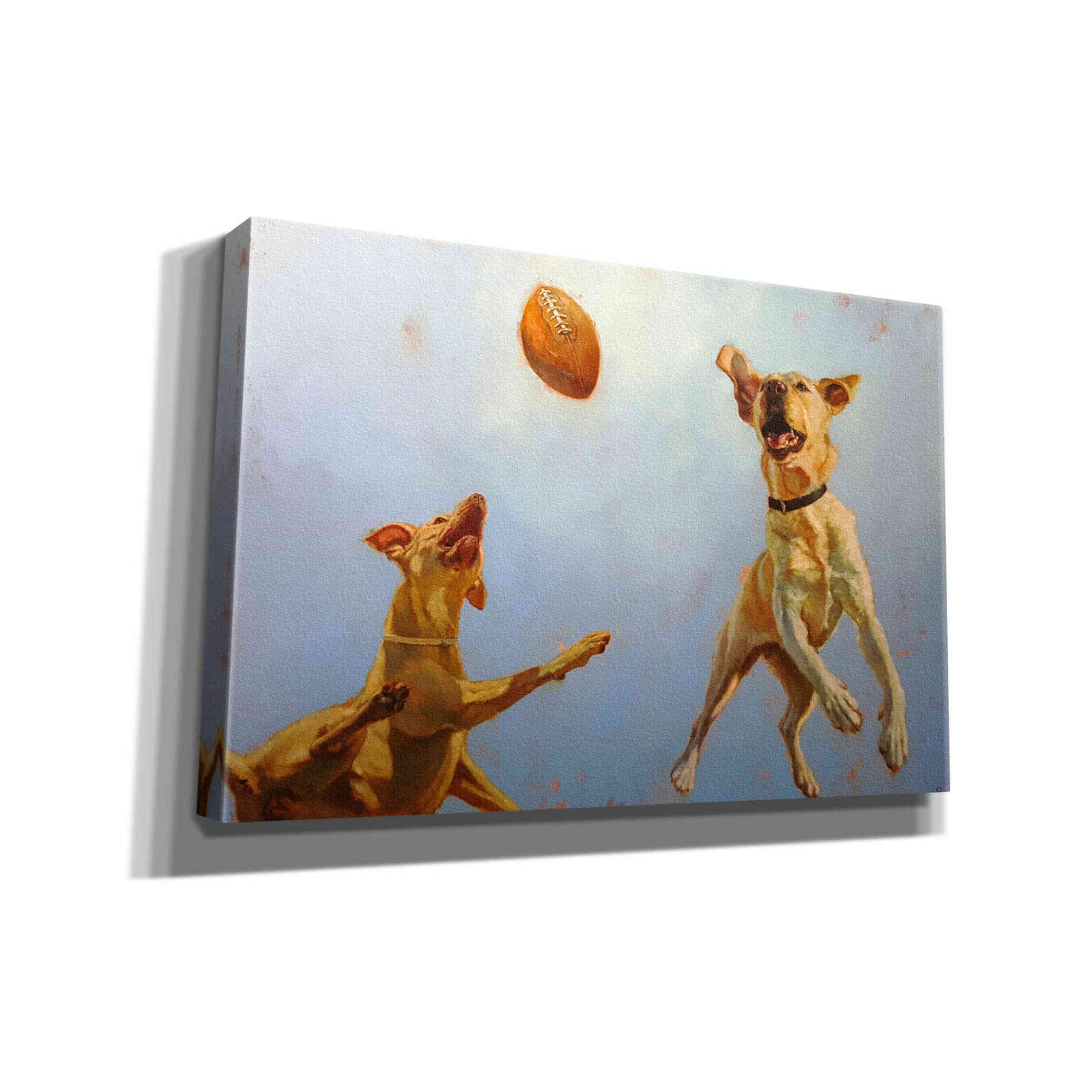 'Game Point' by Lucia Heffernan, Canvas Wall Art