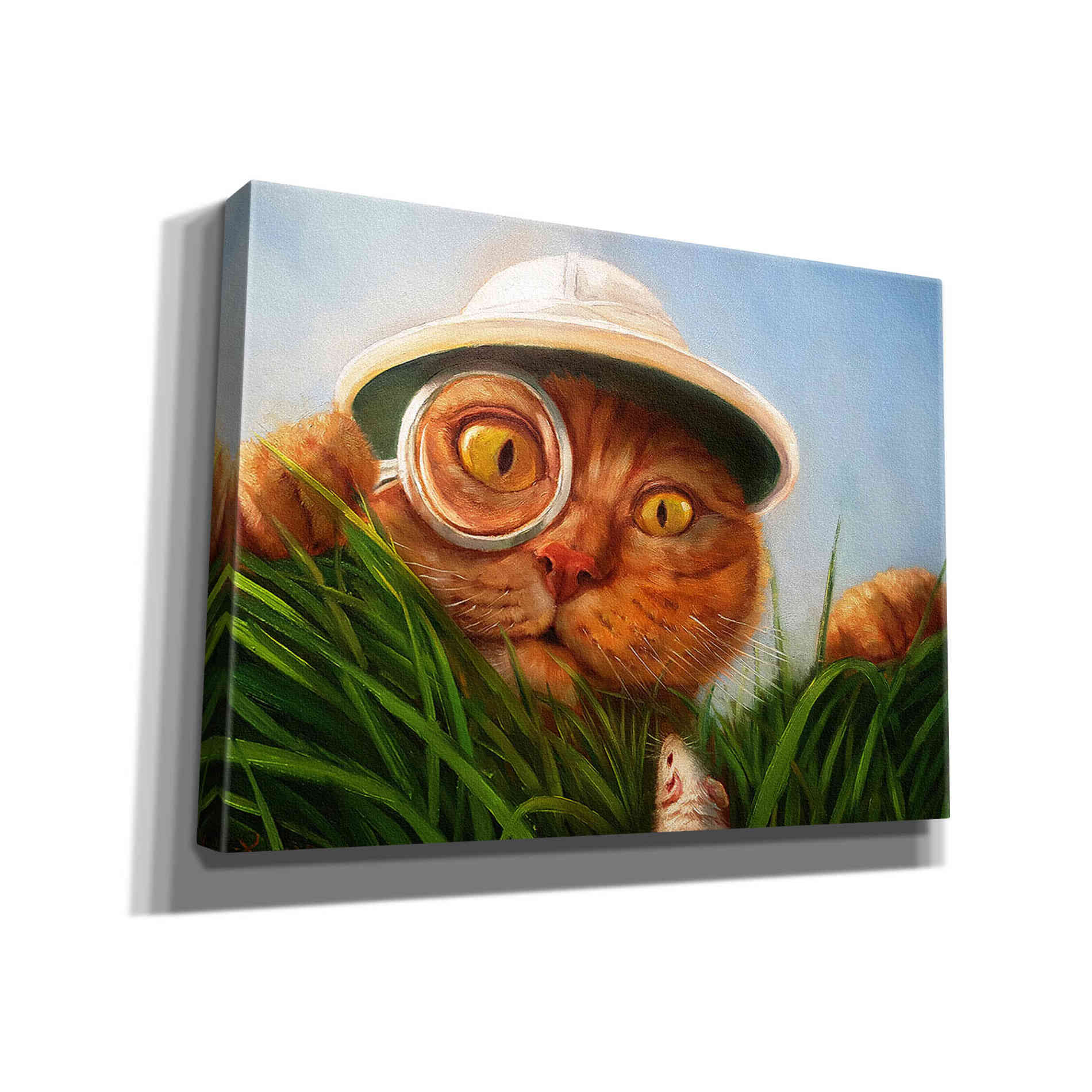 'Explorer' by Lucia Heffernan, Canvas Wall Art