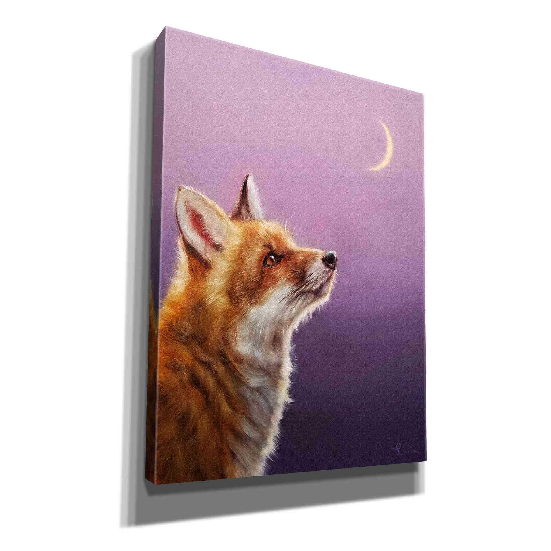 'Talking To The Moon' by Lucia Heffernan, Canvas Wall Art