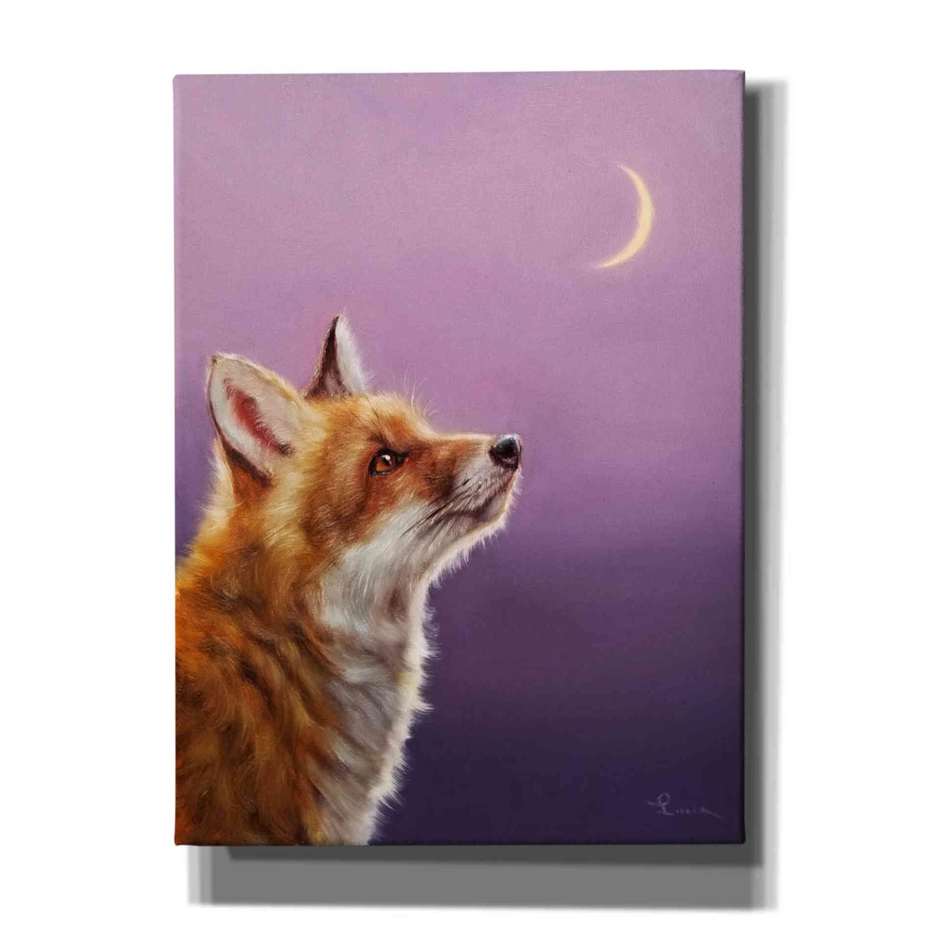 'Talking To The Moon' by Lucia Heffernan, Canvas Wall Art