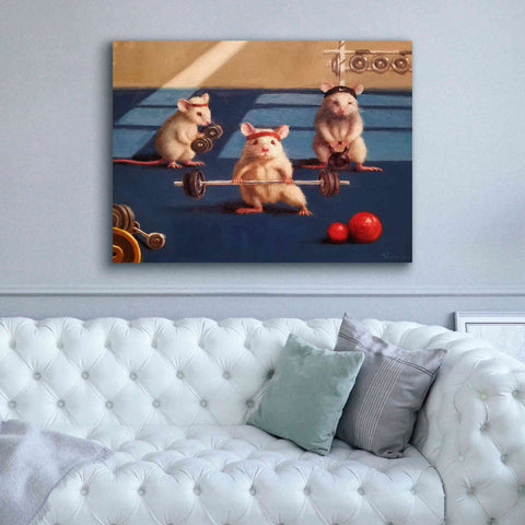 Image of 'Gym Rats' by Lucia Heffernan, Canvas Wall Art,54x40
