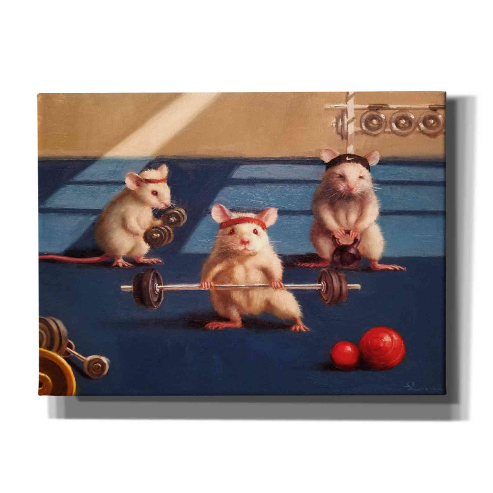 'Gym Rats' by Lucia Heffernan, Canvas Wall Art