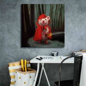 'Little Red' by Lucia Heffernan, Canvas Wall Art,26x26