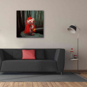 'Little Red' by Lucia Heffernan, Canvas Wall Art,37x37