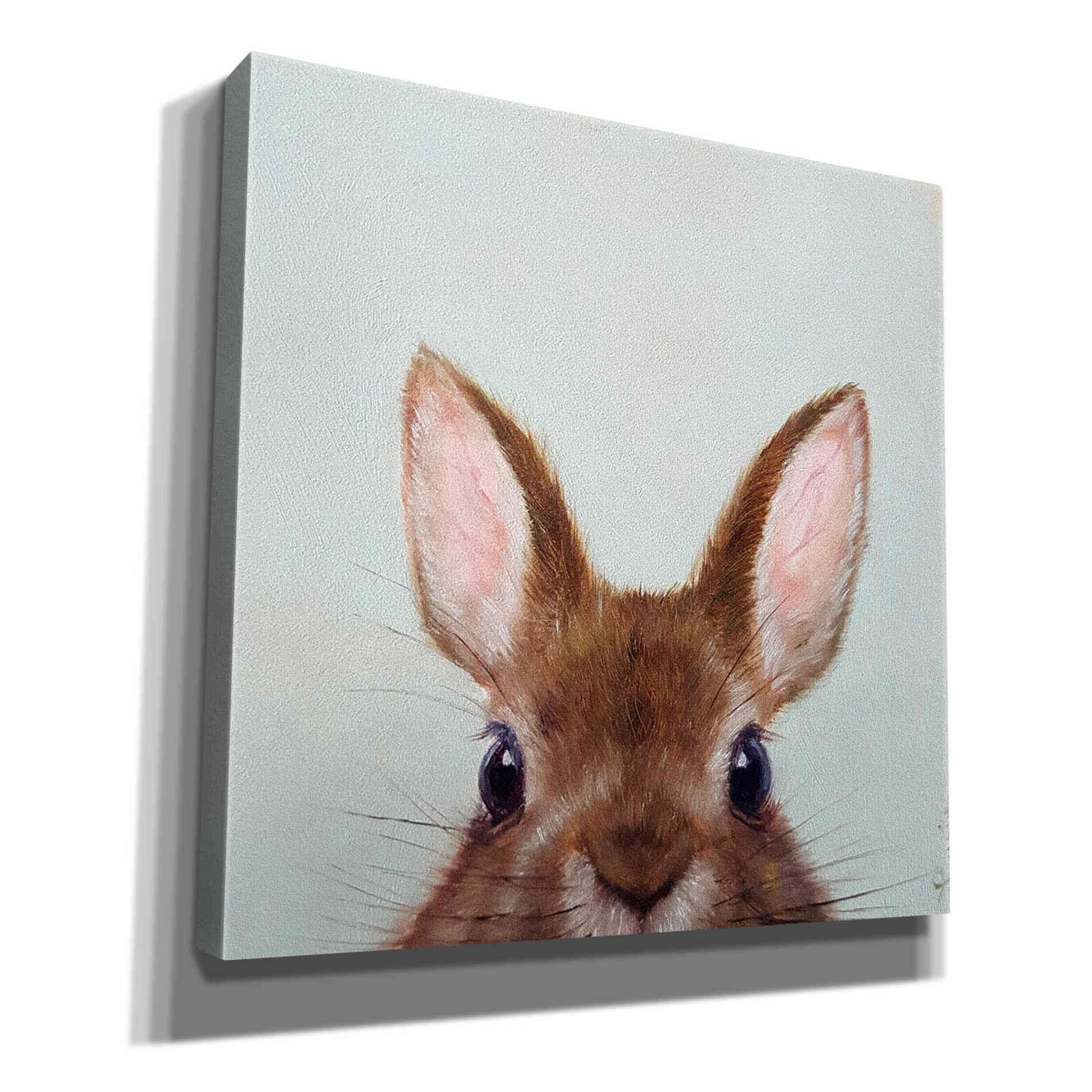 'Peek a Boo' by Lucia Heffernan, Canvas Wall Art