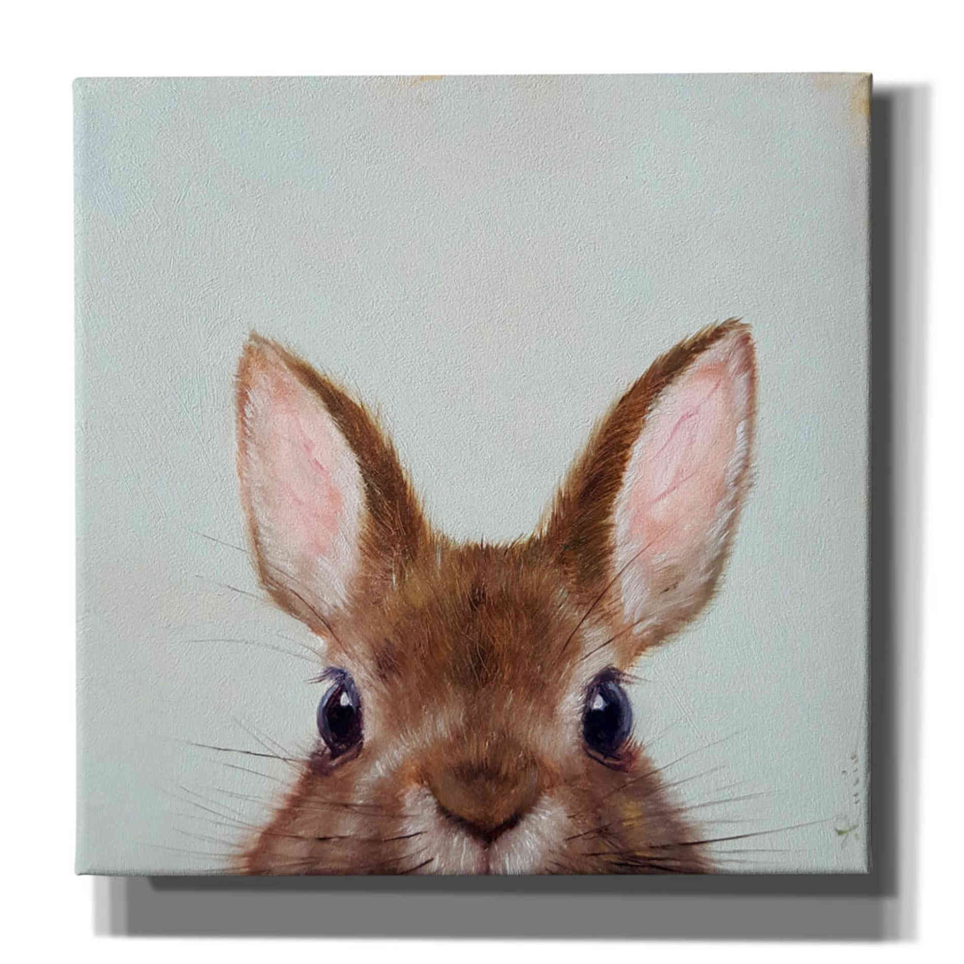 'Peek a Boo' by Lucia Heffernan, Canvas Wall Art