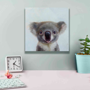 'Lil Koala' by Lucia Heffernan, Canvas Wall Art,12x12
