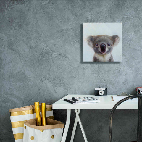 Image of 'Lil Koala' by Lucia Heffernan, Canvas Wall Art,12x12