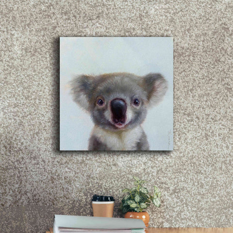 Image of 'Lil Koala' by Lucia Heffernan, Canvas Wall Art,18x18