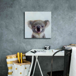 'Lil Koala' by Lucia Heffernan, Canvas Wall Art,18x18