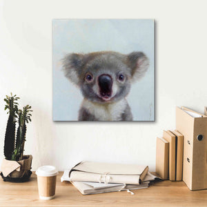 'Lil Koala' by Lucia Heffernan, Canvas Wall Art,18x18