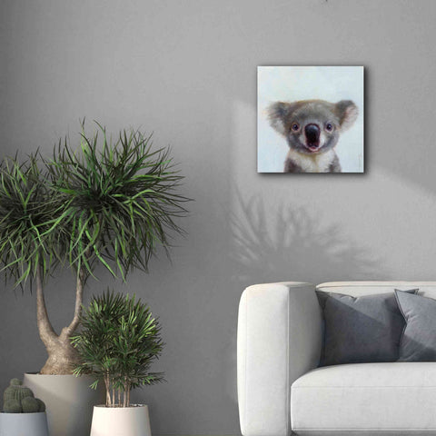 Image of 'Lil Koala' by Lucia Heffernan, Canvas Wall Art,18x18