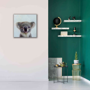 'Lil Koala' by Lucia Heffernan, Canvas Wall Art,26x26