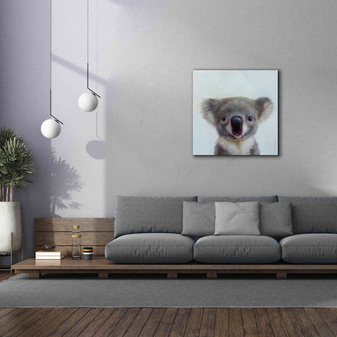 Image of 'Lil Koala' by Lucia Heffernan, Canvas Wall Art,37x37