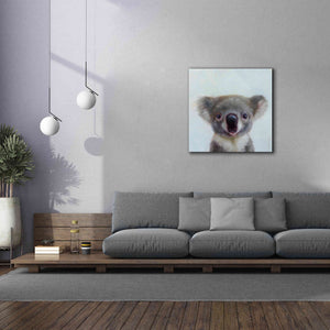 'Lil Koala' by Lucia Heffernan, Canvas Wall Art,37x37