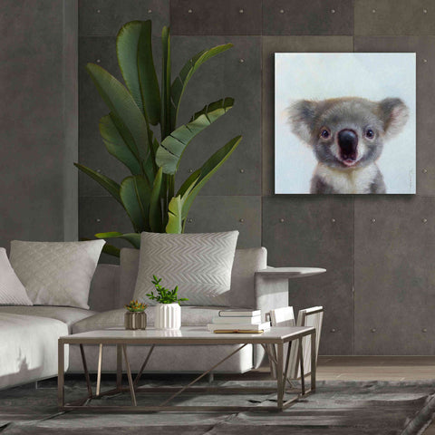 Image of 'Lil Koala' by Lucia Heffernan, Canvas Wall Art,37x37