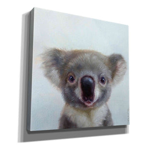 'Lil Koala' by Lucia Heffernan, Canvas Wall Art