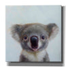 'Lil Koala' by Lucia Heffernan, Canvas Wall Art