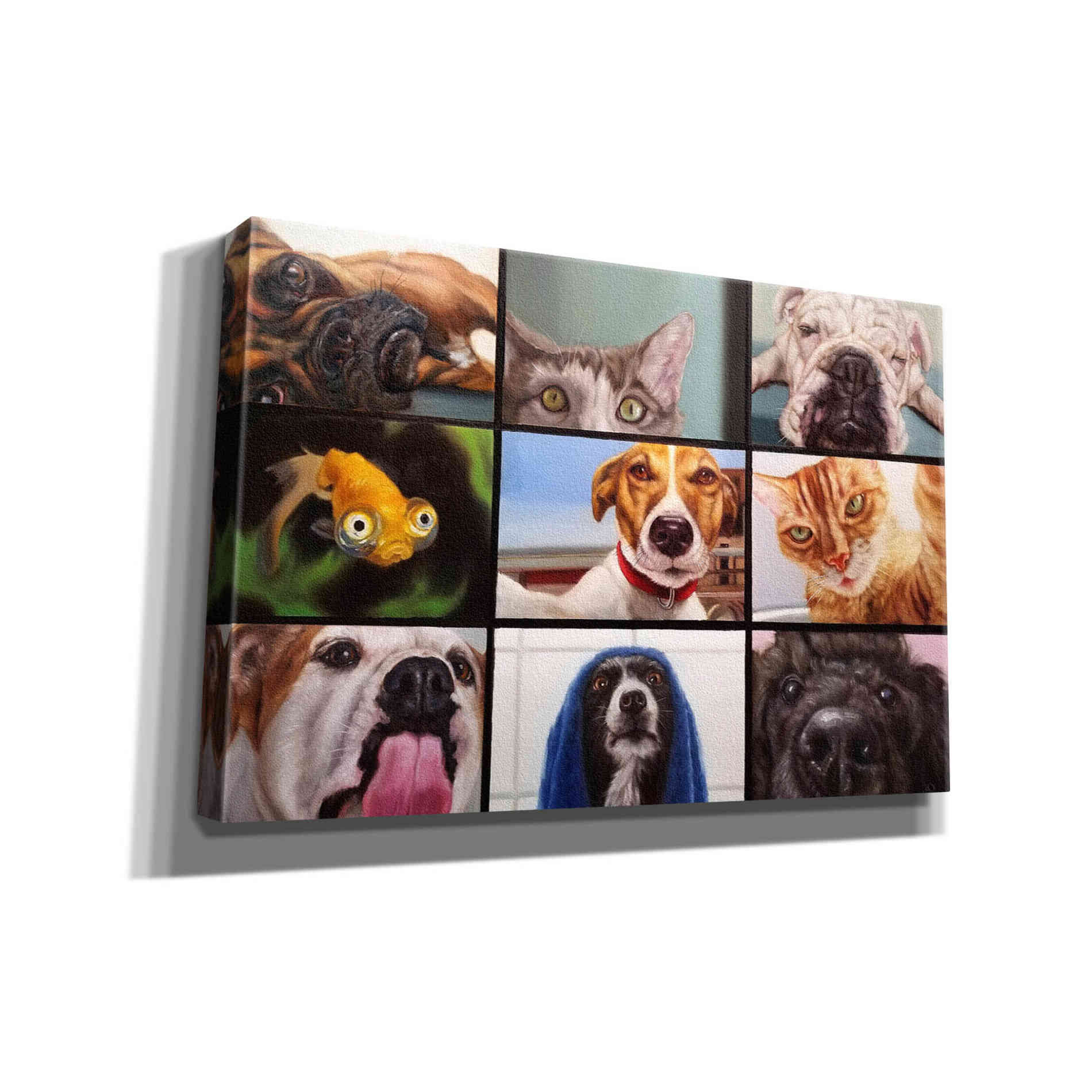 'Animal Zoom' by Lucia Heffernan, Canvas Wall Art