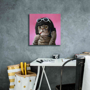 'Bob Cat' by Lucia Heffernan, Canvas Wall Art,18x18