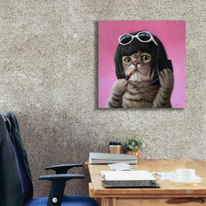 'Bob Cat' by Lucia Heffernan, Canvas Wall Art,26x26