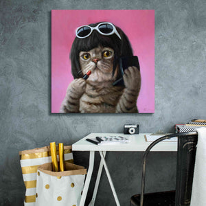 'Bob Cat' by Lucia Heffernan, Canvas Wall Art,26x26