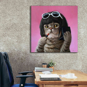 'Bob Cat' by Lucia Heffernan, Canvas Wall Art,37x37