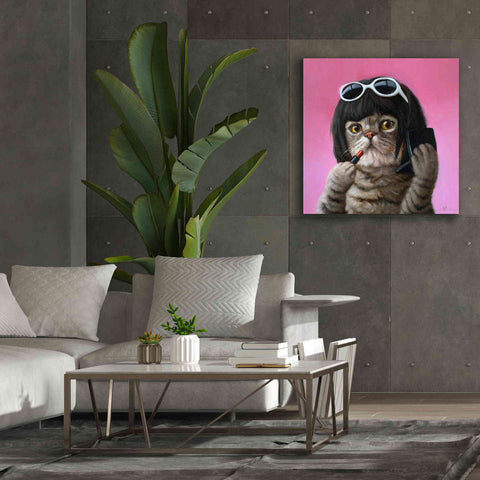 Image of 'Bob Cat' by Lucia Heffernan, Canvas Wall Art,37x37