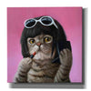 'Bob Cat' by Lucia Heffernan, Canvas Wall Art