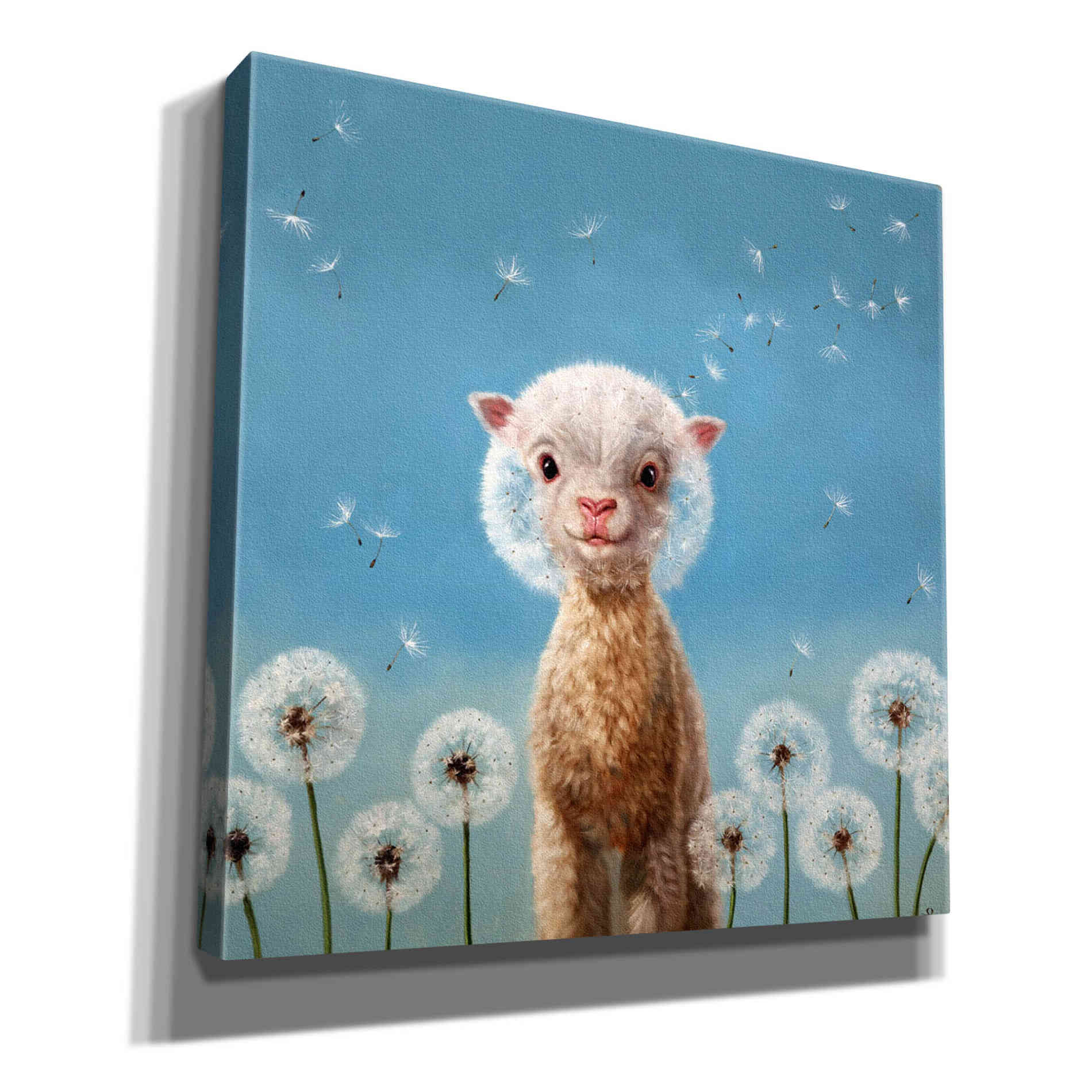 'Summer Wishes' by Lucia Heffernan, Canvas Wall Art
