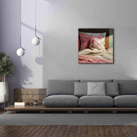 Image of 'Bed Hare' by Lucia Heffernan, Canvas Wall Art,37x37