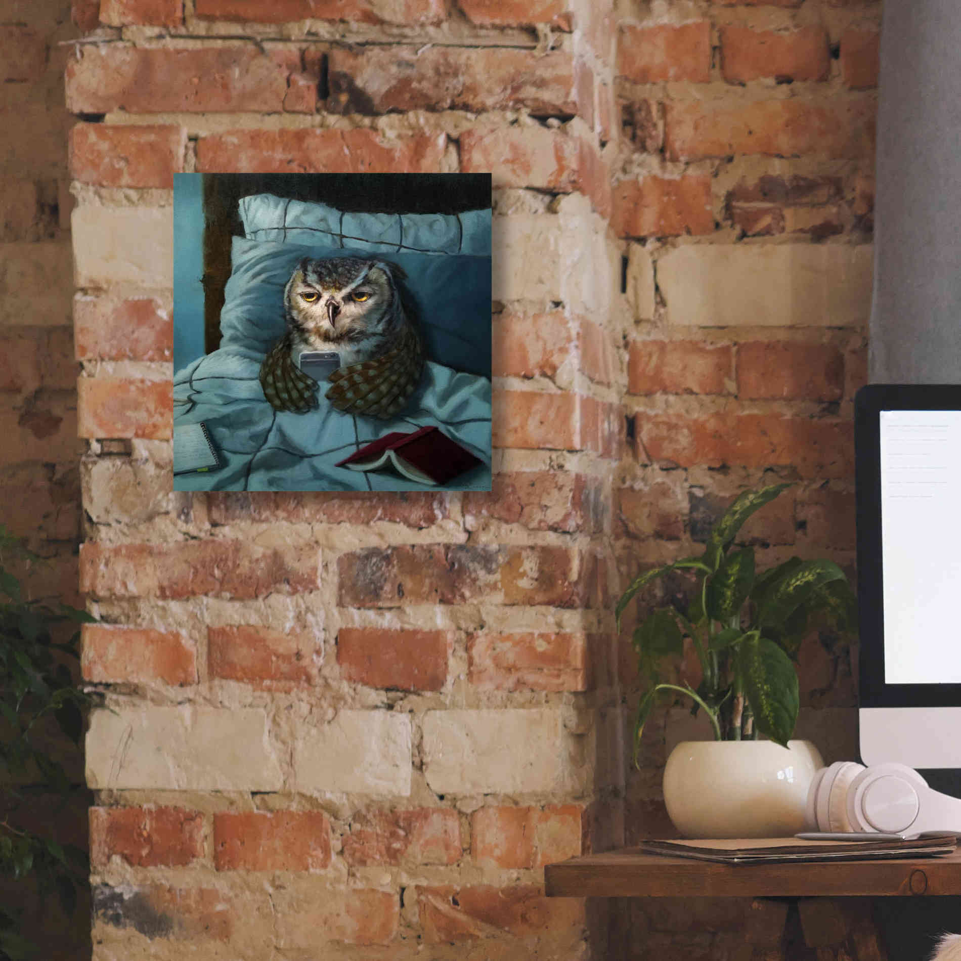 'Night Owl' by Lucia Heffernan, Canvas Wall Art,12x12